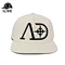 Hip-hop snapbacks hat